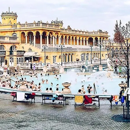 Walk To Opera House - 3br Live In Designer Apartman Budapest